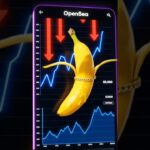 This Banana Became An NFT And Dropped -99% 🍌🖼️ (Crypto Crash)