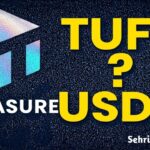 Treasure NFT Update: Kya TUFT USDT Mein Convert Ho Raha Hai? | New Website Information