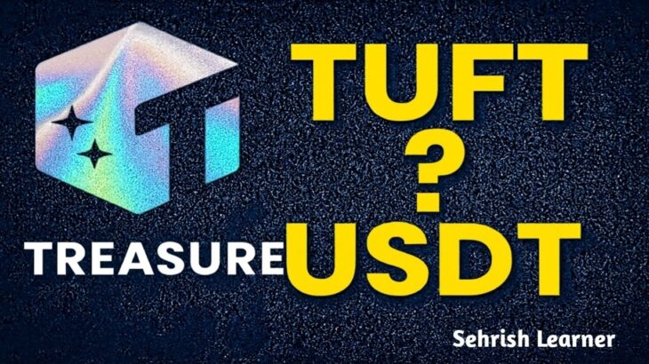 Treasure NFT Update: Kya TUFT USDT Mein Convert Ho Raha Hai? | New Website Information