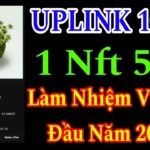 UPLINK – 1 NFT 50$ HƯỚNG DẪN LÀM NHIỆM VỤ TỪ CHƯƠNG TRÌNH CỘNG ĐỒNG KÈO NGON