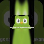 Wie hat die Duolingo Eule früher gesehen?#duolingo #memes #nft