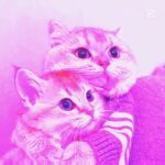 evet #edit #ytdayibenionecikarnolur #logodesign #logo #nft #roblox