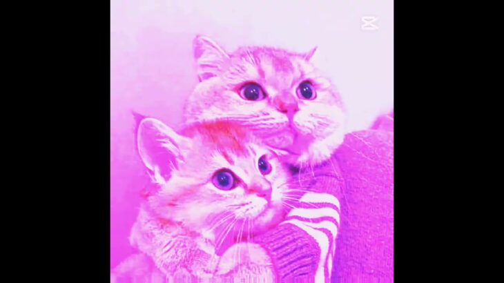 evet #edit #ytdayibenionecikarnolur #logodesign #logo #nft #roblox