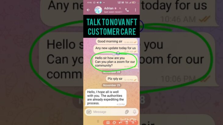 ll 29/11/25  NOVA NFT CUSTOMER SERVICE ll#treasurenft #treasure