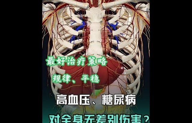 高血壓、糖尿病為何可以對全身臟器無差別傷害？等有症狀就晚了