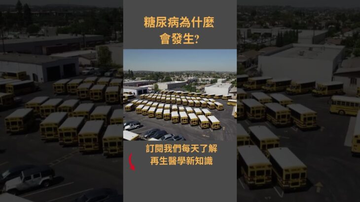 糖尿病為什麼會發生