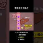 糖尿病の仕組み  #解剖生理学