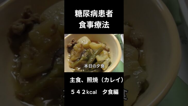 糖尿病患者の食事療法、主食、照焼き（カレイ）
