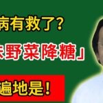 倪海廈：糖尿病有救了？這味野菜降糖奇效，農村遍地是！#倪海廈#倪師#養生#倪海廈精講課堂#倪醫師傳承館#倪海廈學堂#倪海廈講堂#倪海廈的養生秘籍