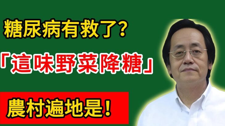 倪海廈：糖尿病有救了？這味野菜降糖奇效，農村遍地是！#倪海廈#倪師#養生#倪海廈精講課堂#倪醫師傳承館#倪海廈學堂#倪海廈講堂#倪海廈的養生秘籍