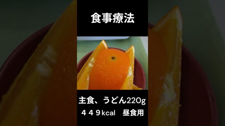 糖尿病の病院食、うどん（２２０ｇ）昼食用