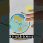 茄子能控制血糖、降低糖尿病風險 #茄子 #健康养生