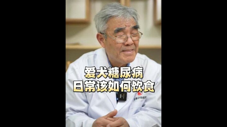 身患糖尿病三年的狗狗，该如何饮食，听尚爷爷如何分析的吧#中兽医 #科学养宠攻略 #狗狗糖尿病#乡间别墅#乡间别墅#乡间别墅#乡间别墅