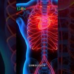 足夠的抗性澱粉有助於預防糖尿病、降低心血管疾病風險#艾門享受健康計畫 #飲食計畫 #減肥 #瘦身 #健康  #蔬果漾 #優菌多 #亮妍肌漾