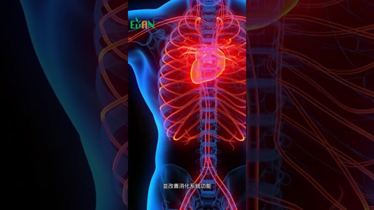 足夠的抗性澱粉有助於預防糖尿病、降低心血管疾病風險#艾門享受健康計畫 #飲食計畫 #減肥 #瘦身 #健康  #蔬果漾 #優菌多 #亮妍肌漾