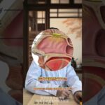 #传统文化 #中医 #健康 #癌症 #中國醫 #药膳 #科普 #末期癌 #糖尿病