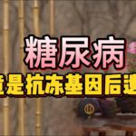 【老梁故事會】高寒地區糖尿病高發，老梁：極寒或觸發微型冰河期，糖尿病竟是“抗凍基因”後遺症！#極寒天氣 #微型冰河期 #老梁#全球變暖 #糖尿病基因 #猛獁象 #第四紀冰川 #樹年輪密碼 #抗凍進化