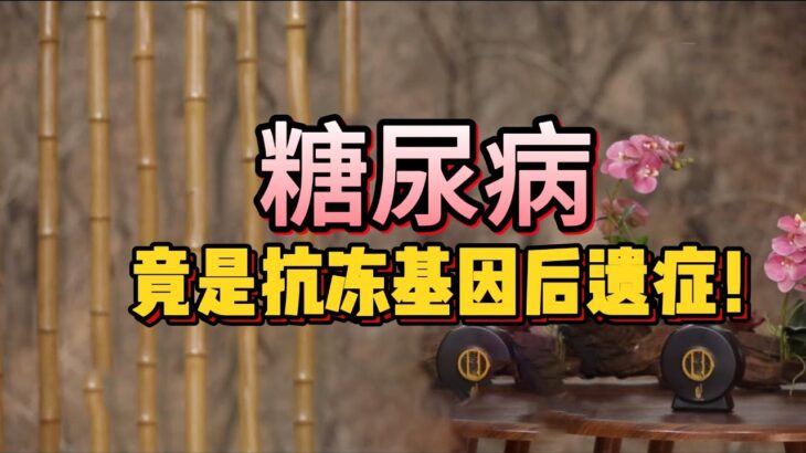 【老梁故事會】高寒地區糖尿病高發，老梁：極寒或觸發微型冰河期，糖尿病竟是“抗凍基因”後遺症！#極寒天氣 #微型冰河期 #老梁#全球變暖 #糖尿病基因 #猛獁象 #第四紀冰川 #樹年輪密碼 #抗凍進化