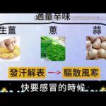 糖尿病、濕氣重、皮膚病？從餐桌改起！中醫教你用「吃」調好身體