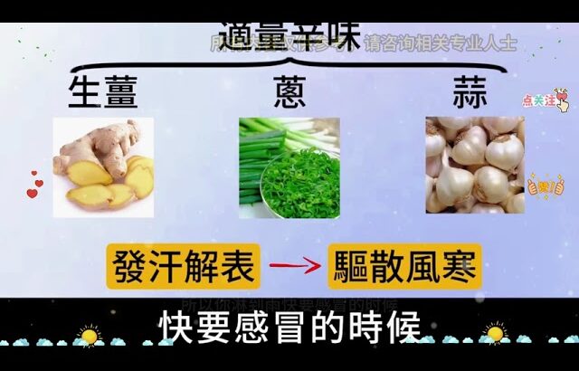 糖尿病、濕氣重、皮膚病？從餐桌改起！中醫教你用「吃」調好身體