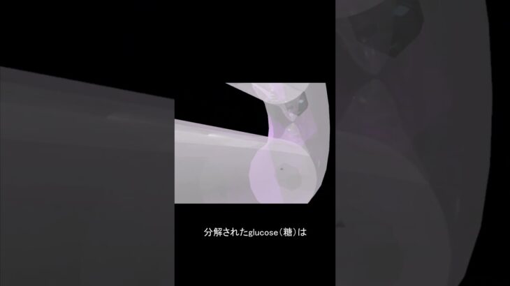 糖尿病　正常　解説あり1 ショート