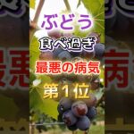 【1位は糖尿病じゃない!?】ぶどう食べ過ぎで最悪の病気に　#健康 #雑学 #開運 #知恵 #医学 #名言