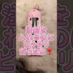 【1型糖尿病】#小学生 #しなこちゃん