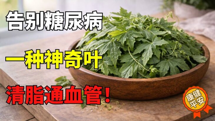 沒有任何葉子能「消滅糖尿病」——但這1種葉菜因其對血糖的幫助而受到研究關注