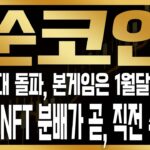 [쑨 코인] 1월 19일 운명의 날 온다! 마지막 NFT 분배 일정 유력한 상황.. 세력들도 결국 ‘이 가격’ 까지 끌어올린다!#SOON