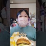 (糖尿病と自閉症の1人行動)1人で絶品チーズバーガー買いに行ったらまさかの失敗…(緊急の動画)