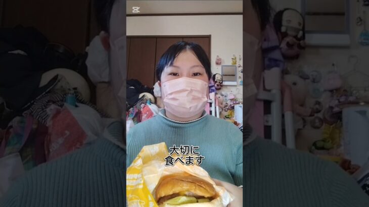 (糖尿病と自閉症の1人行動)1人で絶品チーズバーガー買いに行ったらまさかの失敗…(緊急の動画)