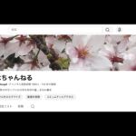 【1型糖尿病】『ご報告』登録者1000人達成しました！…と思ったら999人に戻りました😭笑