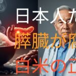 「太ってないのに糖尿病!?日本人の膵臓は欧米人より12%小さい衝撃の真実」