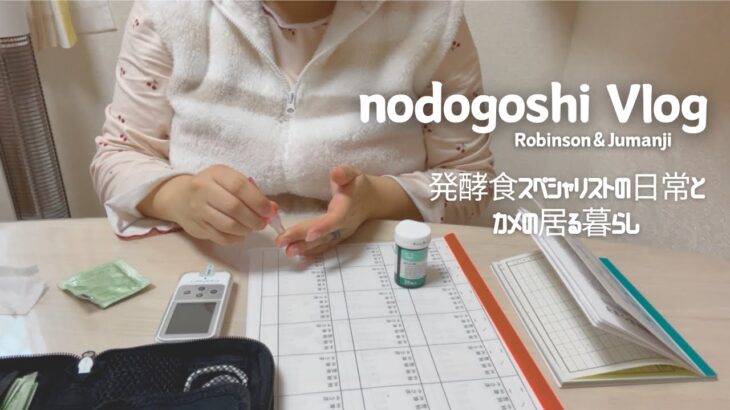 妊娠糖尿病1日6回血糖値測定💉朝昼晩の食事メニュー公開！カメの奇跡の鳴き声も収録🐢