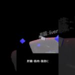 糖尿病　正常 2 -1　肝臓　解説あり　ショート