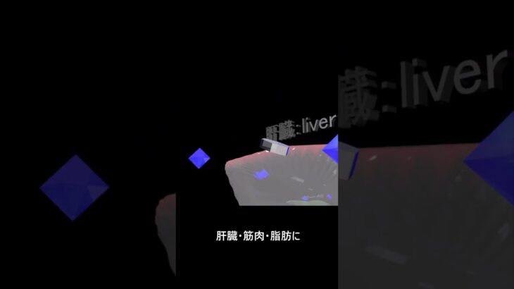 糖尿病　正常 2 -1　肝臓　解説あり　ショート