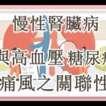 慢性腎臟病與高血壓、糖尿病、痛風之關聯性  2（有字 幕）