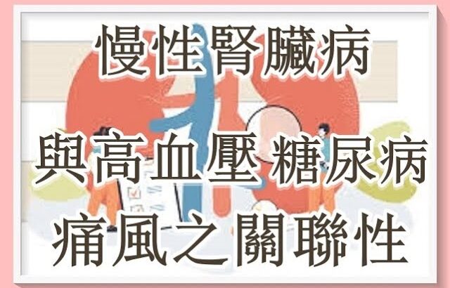 慢性腎臟病與高血壓、糖尿病、痛風之關聯性  2（有字 幕）