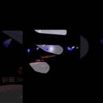 糖尿病　正常2-2　脂肪ショート