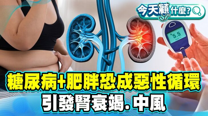 糖尿病+肥胖恐成惡性循環！引發心臟功能危機 心衰竭、腎衰竭、中風風險提升！【#今天顧什麼？】健康2.0 ​ @tvbshealth20​