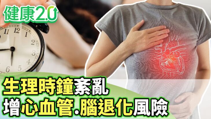生理時鐘紊亂 恐增心血管、糖尿病、腦退化風險【健康2.0分段】@tvbshealth20   EP3147-1 20251227 #鄭凱云#江秉穎#葉懿昕#劉怡里#梁惠雯