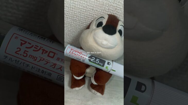 【糖尿病】2025年後半✴️   #糖尿病 #1型糖尿病 #2型糖尿病 #その他糖尿病 #血糖値 #HbA1c #採血 #体調 #ふりかえり #2025 #インスリン #入院 #外来 #点滴