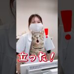 かなざわ内科スタッフ、2025年振り返り‼️#島根 #出雲 #かなざわ内科 #糖尿病 #骨粗しょう症 #動脈硬化 #short #shorts