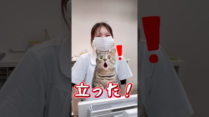 かなざわ内科スタッフ、2025年振り返り‼️#島根 #出雲 #かなざわ内科 #糖尿病 #骨粗しょう症 #動脈硬化 #short #shorts