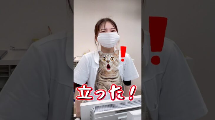 かなざわ内科スタッフ、2025年振り返り‼️#島根 #出雲 #かなざわ内科 #糖尿病 #骨粗しょう症 #動脈硬化 #short #shorts