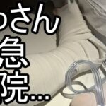 【よっさん】悲報 緊急入院 片足切除の可能性も…【糖尿病＆後縦靭帯骨化症】2025/11/15