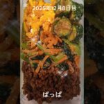 #2025/12/08/4:30#糖尿病弁当#パパ弁当#ビビンバ弁当#shorts