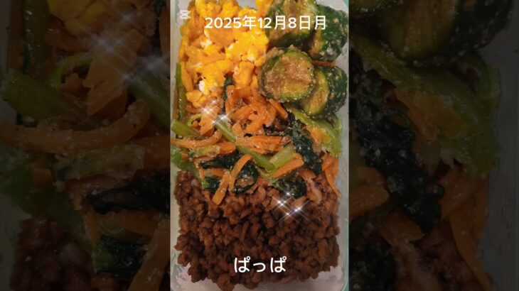 #2025/12/08/4:30#糖尿病弁当#パパ弁当#ビビンバ弁当#shorts