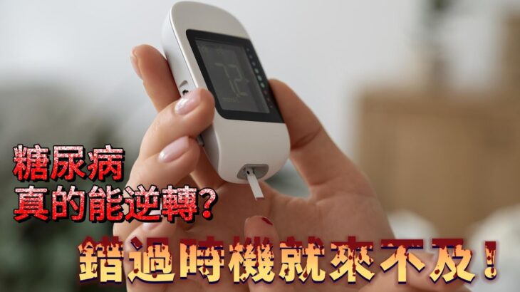 把握黃金期 穩定血糖的科學方法大公開！！！糖尿病真的能逆轉 錯過時機就來不及！！《醫定沒問題》20251210