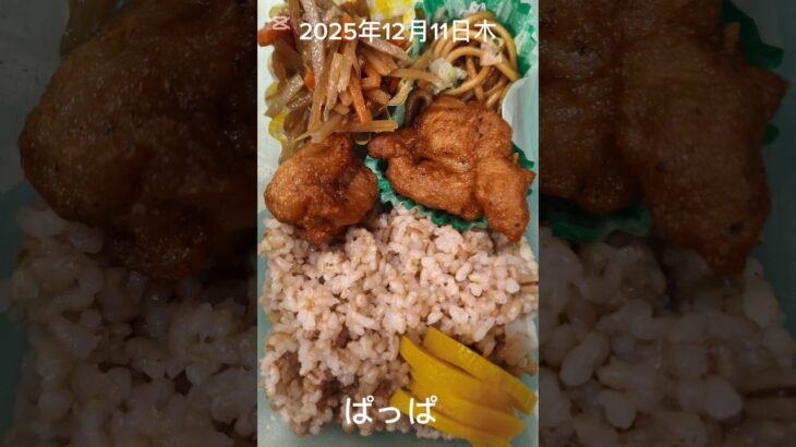 #2025/12/11/4:30#糖尿病弁当#パパ弁当#親子丼弁当#shorts